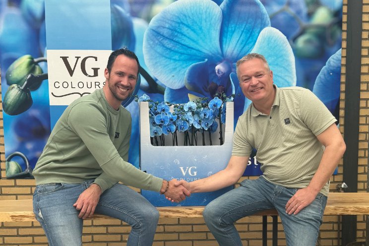 VG Colours lanceert nieuw ontwikkelde showdoos