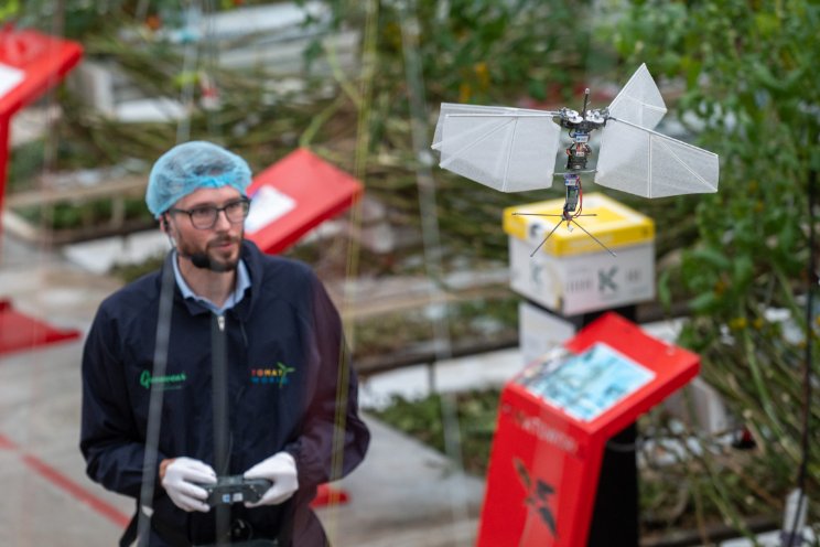 Buitenkans voor tuinbouw: experimenteren met 5G Buitenkans voor tuinbouw: experimenteren met 5G