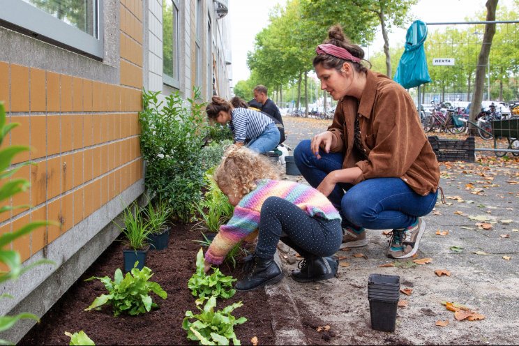 Nederland kleurt groen