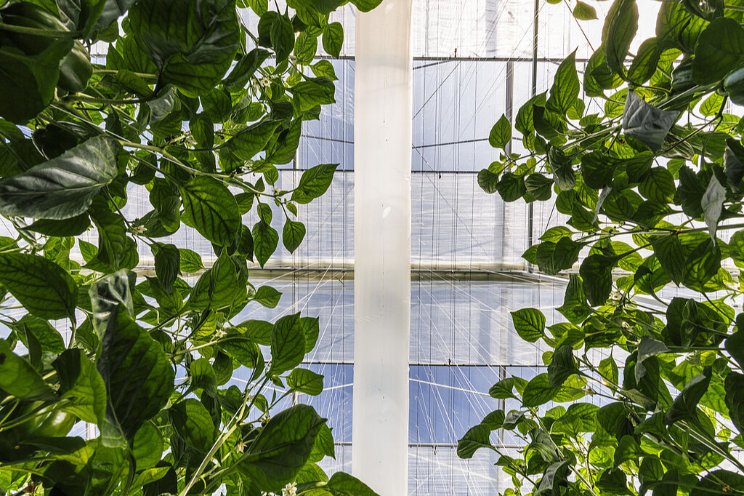 In juni: EnergiekEvent en Kennisevent CO2 In juni: EnergiekEvent en Kennisevent CO2