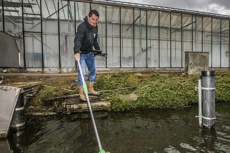 'Opnieuw veel fouten gemaakt bij teeltwisseling'