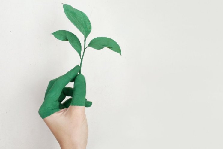 IPM strategie alternatieven glyfosaat beschikbaar IPM strategie alternatieven glyfosaat beschikbaar