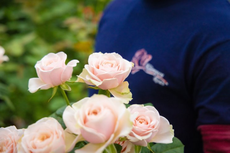 Bloemen steeds groener door fors minder middelen Bloemen steeds groener door fors minder middelen