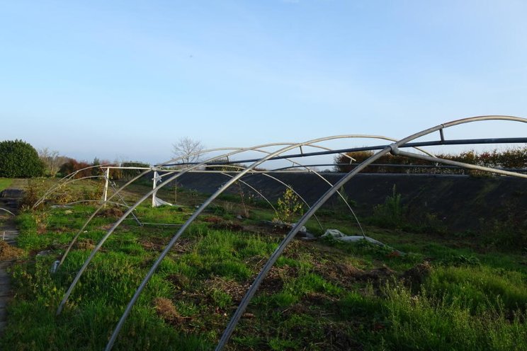 Gespot: Tunnelkasbogen