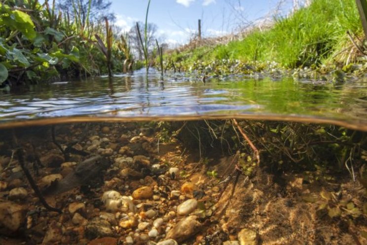 Een dikke onvoldoende voor waterkwaliteit Nederland