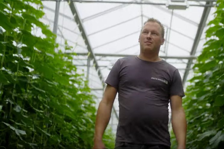 Toekomst met biostimulanten Toekomst met biostimulanten