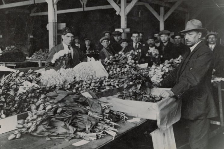 100 jaar bloemenveiling in het Westland 