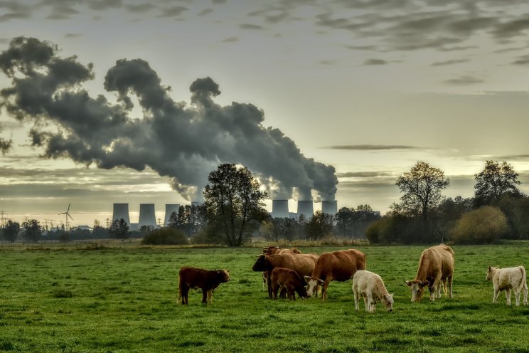 Grote vervuilers moet zelfstandig verduurzamen