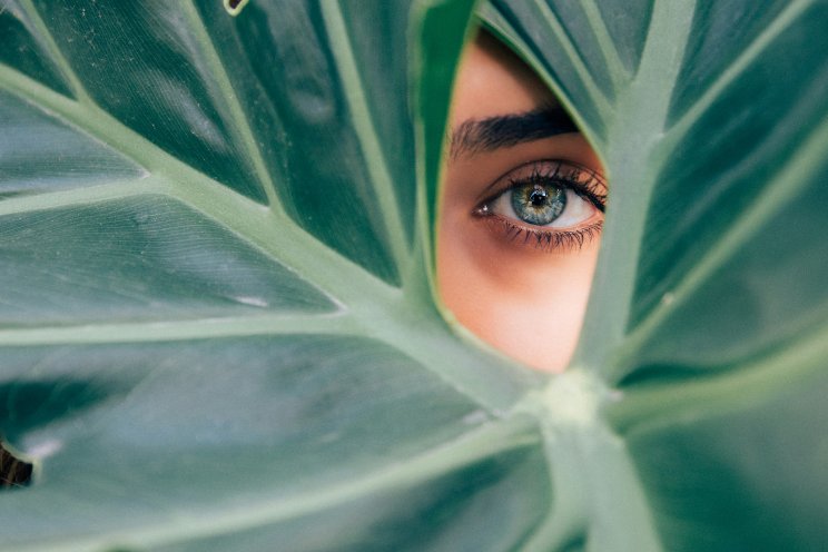 Actueel Horti Thema Weken: haak jij ook aan? Actueel Horti Thema Weken: haak jij ook aan?