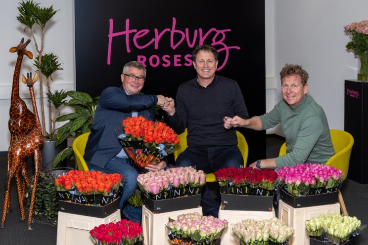 Dutch Flower Group stapt in Nini Herburg Roses