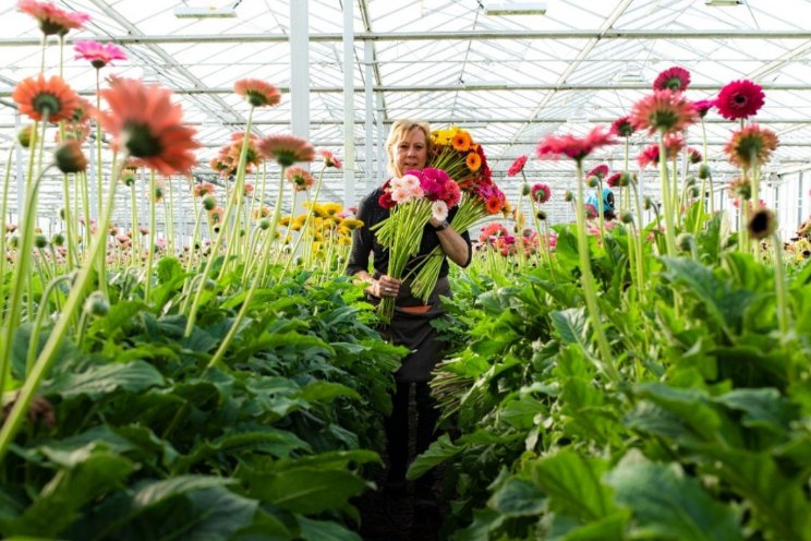 'Kwaliteit door investeringen'