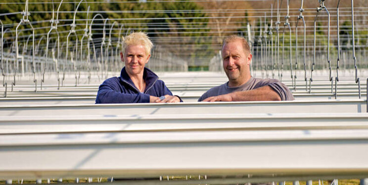 Lemmen Aardbeien ruilt kokossubstraat in Lemmen Aardbeien ruilt kokossubstraat in