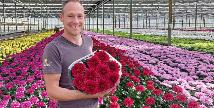 Nieuw bij VannoVa: Lamira Red Nieuw bij VannoVa: Lamira Red