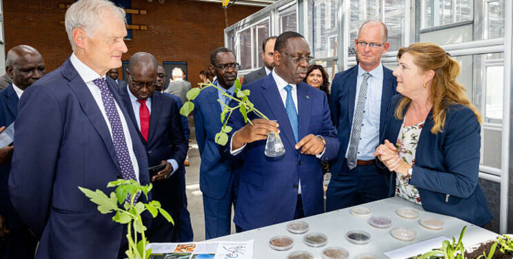 Afrikaanse presidenten bezoeken het Westland Afrikaanse presidenten bezoeken het Westland