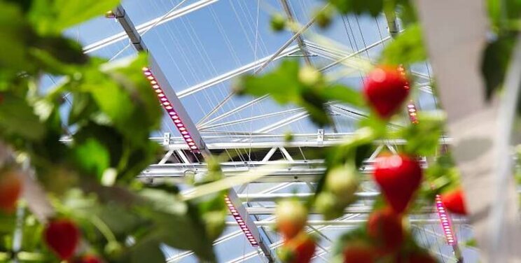 Investeerders weten tuinbouw te vinden Investeerders weten tuinbouw te vinden