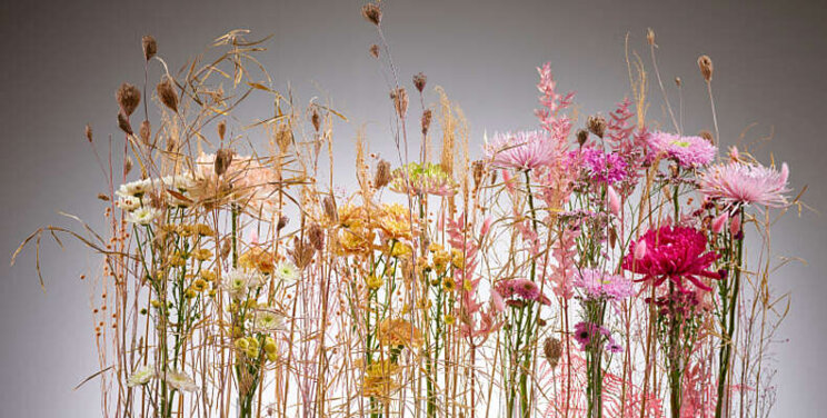 Stylen met chrysant: trends voor het najaar 2022 Stylen met chrysant: trends voor het najaar 2022