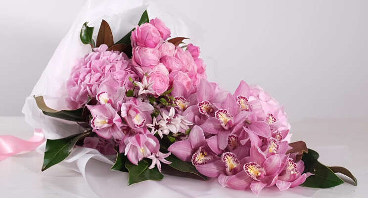 Cymbidium trapt seizoen af met driedelige tutorial Cymbidium trapt seizoen af met driedelige tutorial