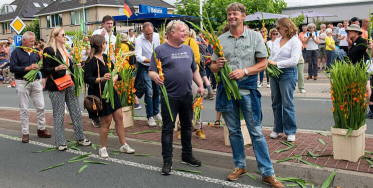 Nieuwe verkooporganisatie voor gladiolen opgericht Nieuwe verkooporganisatie voor gladiolen opgericht