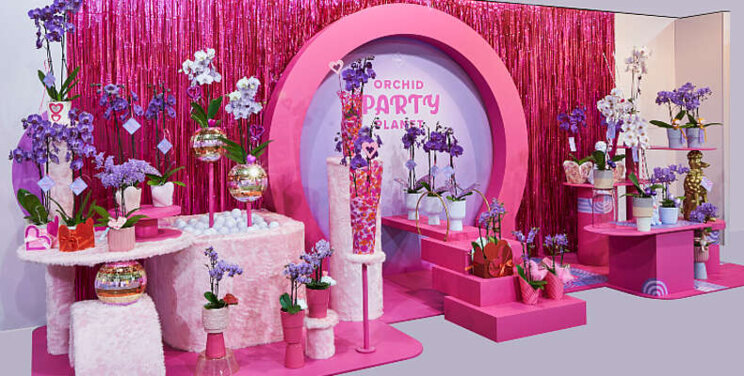 Catwalk favorite: Pink Flamingo Catwalk favorite: Pink Flamingo
