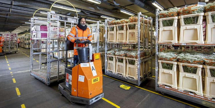 Meer productgroepen gaan over op Landelijk Veilen Meer productgroepen gaan over op Landelijk Veilen