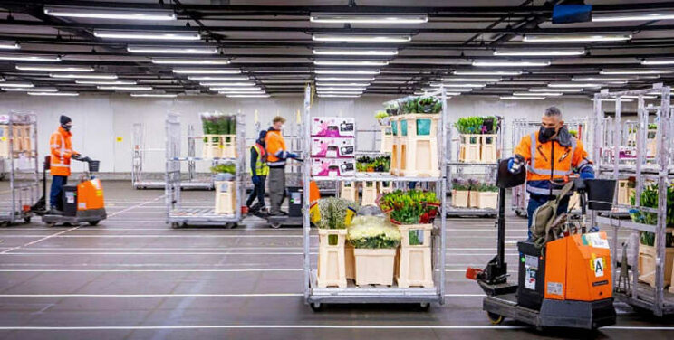 Logistiek FloraHolland stap voor stap beter Logistiek FloraHolland stap voor stap beter