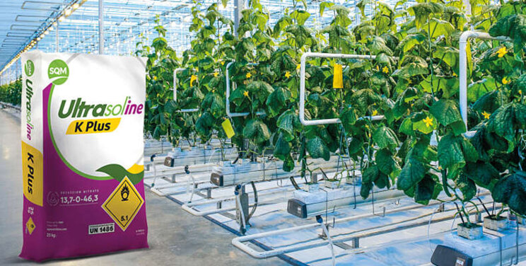 Nieuwe meststof voor een betere plantweerbaarheid Nieuwe meststof voor een betere plantweerbaarheid