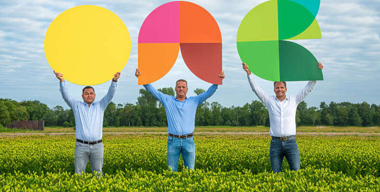 Connecting Lilies sluit zich aan bij One Flora Group Connecting Lilies sluit zich aan bij One Flora Group