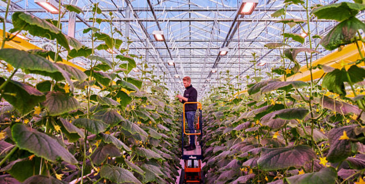 Inzicht inschakelstroom LED en financiële impact Inzicht inschakelstroom LED en financiële impact