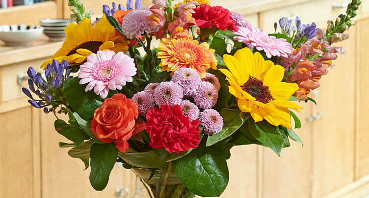 Zo blijven bloemen mooi bij hitte Zo blijven bloemen mooi bij hitte