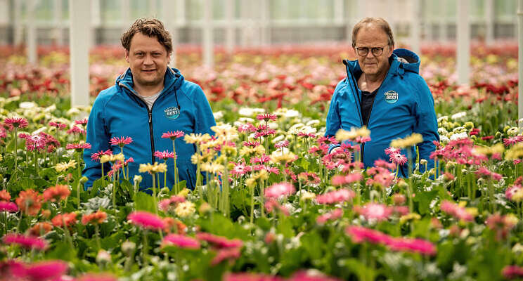 Topline Gerbera stapt over naar 4 ha full LED Topline Gerbera stapt over naar 4 ha full LED