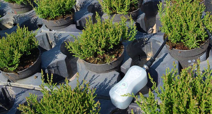 Sensoren waarschuwen potplantenkwekers Sensoren waarschuwen potplantenkwekers