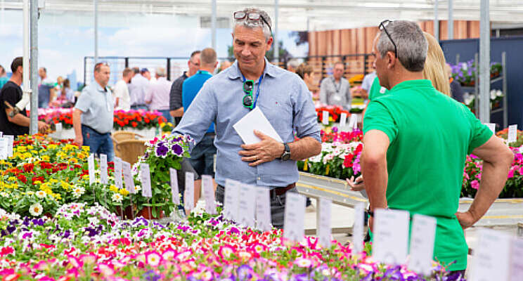 Positieve stemming tijdens zonovergoten FlowerTrials Positieve stemming tijdens zonovergoten FlowerTrials