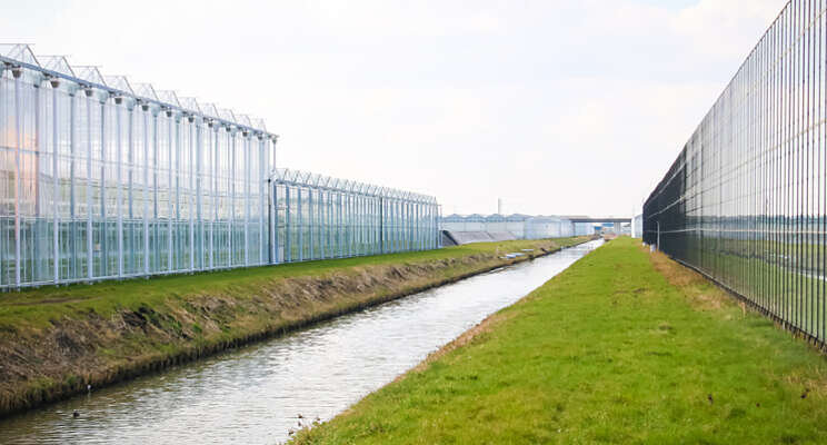 Gietwater en gezonde planten essentieel Gietwater en gezonde planten essentieel