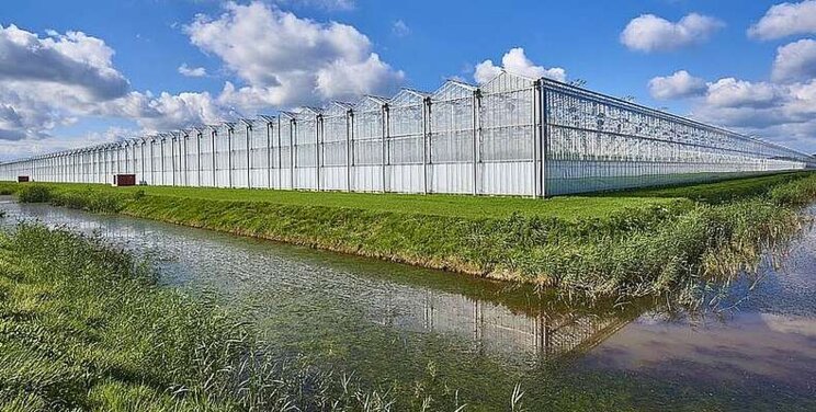 Afzet en rendement tuinbouw onder druk Afzet en rendement tuinbouw onder druk