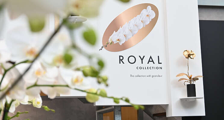 Opti-flor geeft 'royal treatment' Opti-flor geeft 'royal treatment'