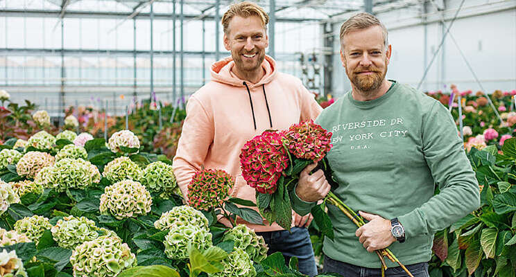 PerlaNova introduceert 'Fusion Hydrangea' PerlaNova introduceert 'Fusion Hydrangea'