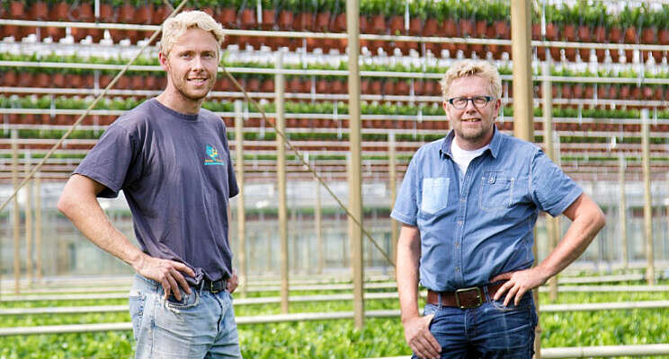 Kwekerij van Winden groeit door met Zamioculcas Kwekerij van Winden groeit door met Zamioculcas