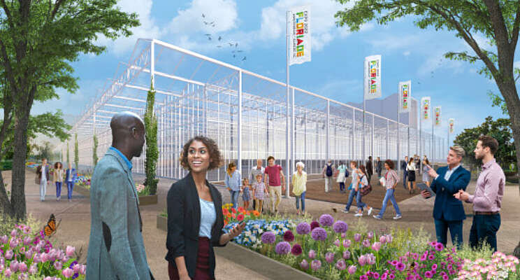 Competities in The Green House Competities in The Green House