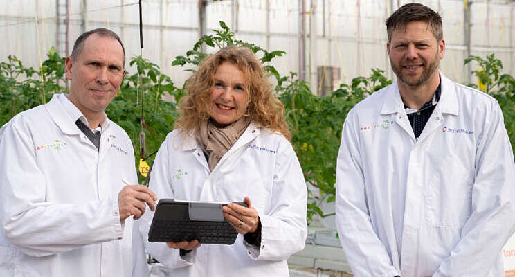 Van der Ende Groep nieuwe partner Tomatoworld Van der Ende Groep nieuwe partner Tomatoworld