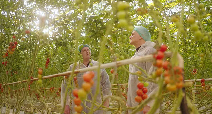 Video: ION specifiek telen Video: ION specifiek telen