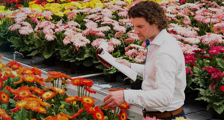Gerberaserie van Takii gaat over naar HilverdaFlorist Gerberaserie van Takii gaat over naar HilverdaFlorist