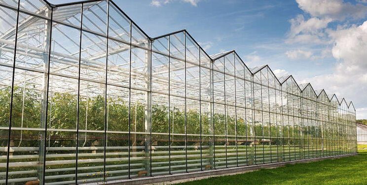Actueel Horti Thema Optimaal Groeien, doe mee! Actueel Horti Thema Optimaal Groeien, doe mee!