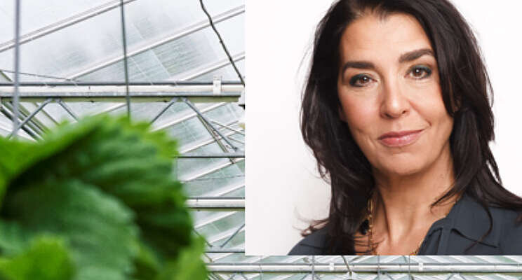 Programmadirecteur voor Greentechport Brabant Programmadirecteur voor Greentechport Brabant