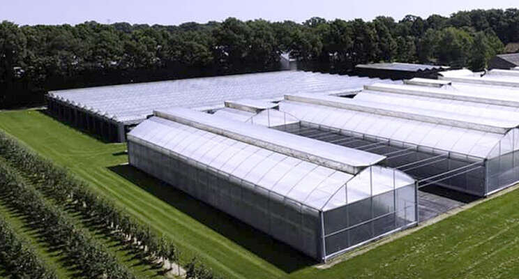 Taken Naktuinbouw naar Clean Fruit Plants Taken Naktuinbouw naar Clean Fruit Plants
