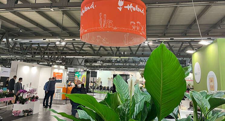 Holland Collectief terug op beurs Myplant & Garden Holland Collectief terug op beurs Myplant & Garden