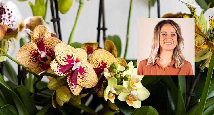 Orchidee Nederland wil verrassen op Floriade Orchidee Nederland wil verrassen op Floriade