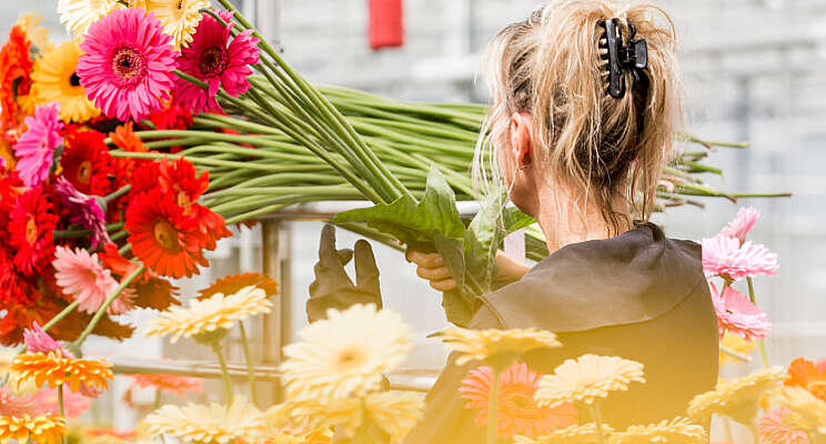 'We willen niet de grootste worden, wel de beste' 'We willen niet de grootste worden, wel de beste'