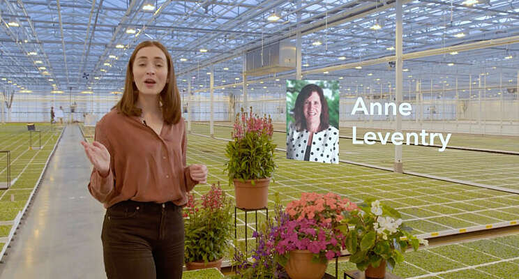 75 jaar PanAmerican Seed: video-tijdlijn en blogs 75 jaar PanAmerican Seed: video-tijdlijn en blogs