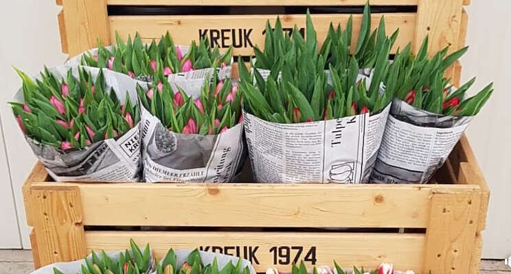Vaktentoonstelling toch niet fysiek maar digitaal Vaktentoonstelling toch niet fysiek maar digitaal