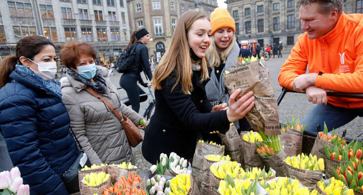 Tulpen als symbool voor positiviteit en vrolijkheid Tulpen als symbool voor positiviteit en vrolijkheid